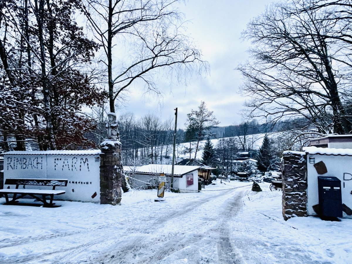 Winterlich auf der Rimbachfarm